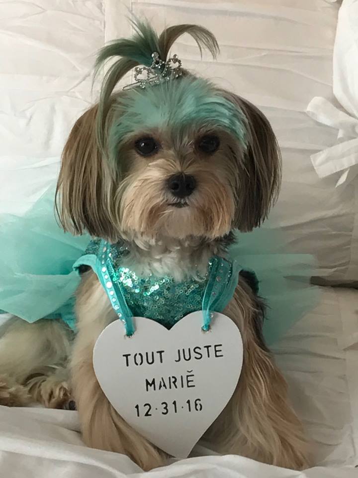 Suds & Scissors Inc.