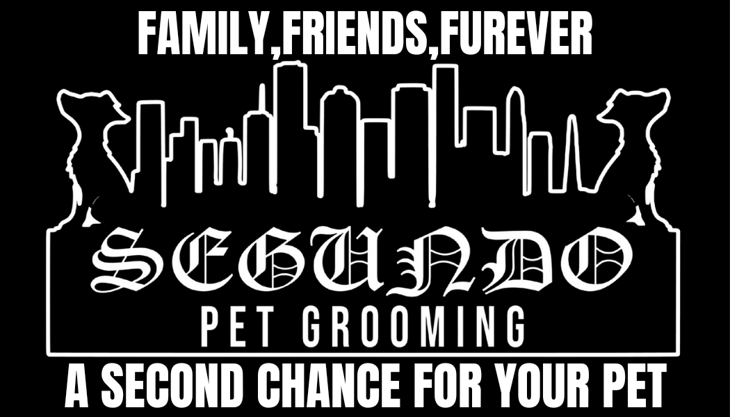 Segundo Pet Grooming - Pet Services in Houston